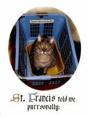 BD-256 St. Francis told me