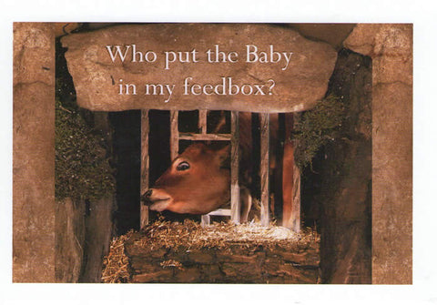 C-706 Who put the Baby in my feedbox?